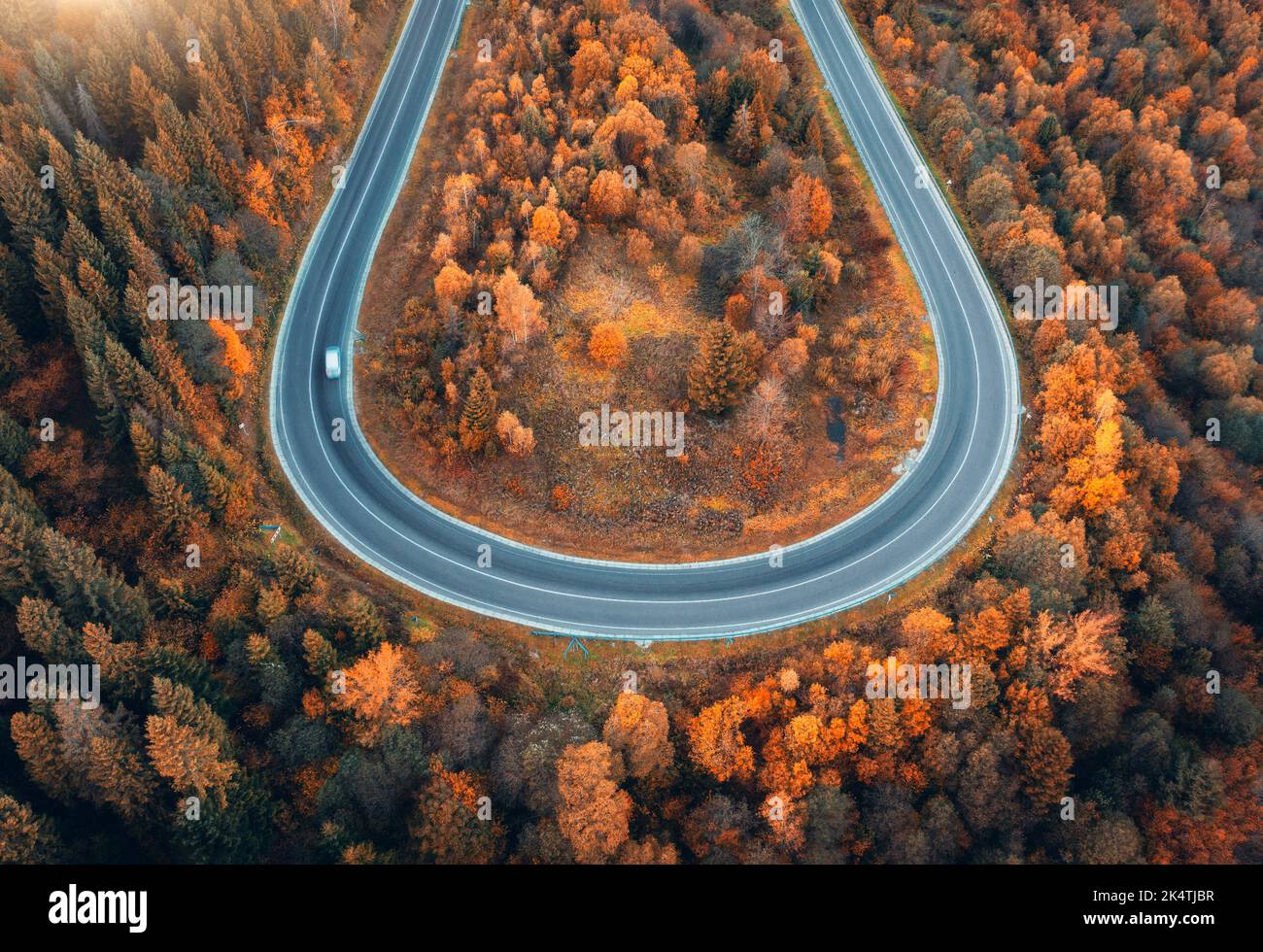 Veduta aerea della strada tortuosa con auto in una colorata foresta autunnale Foto Stock