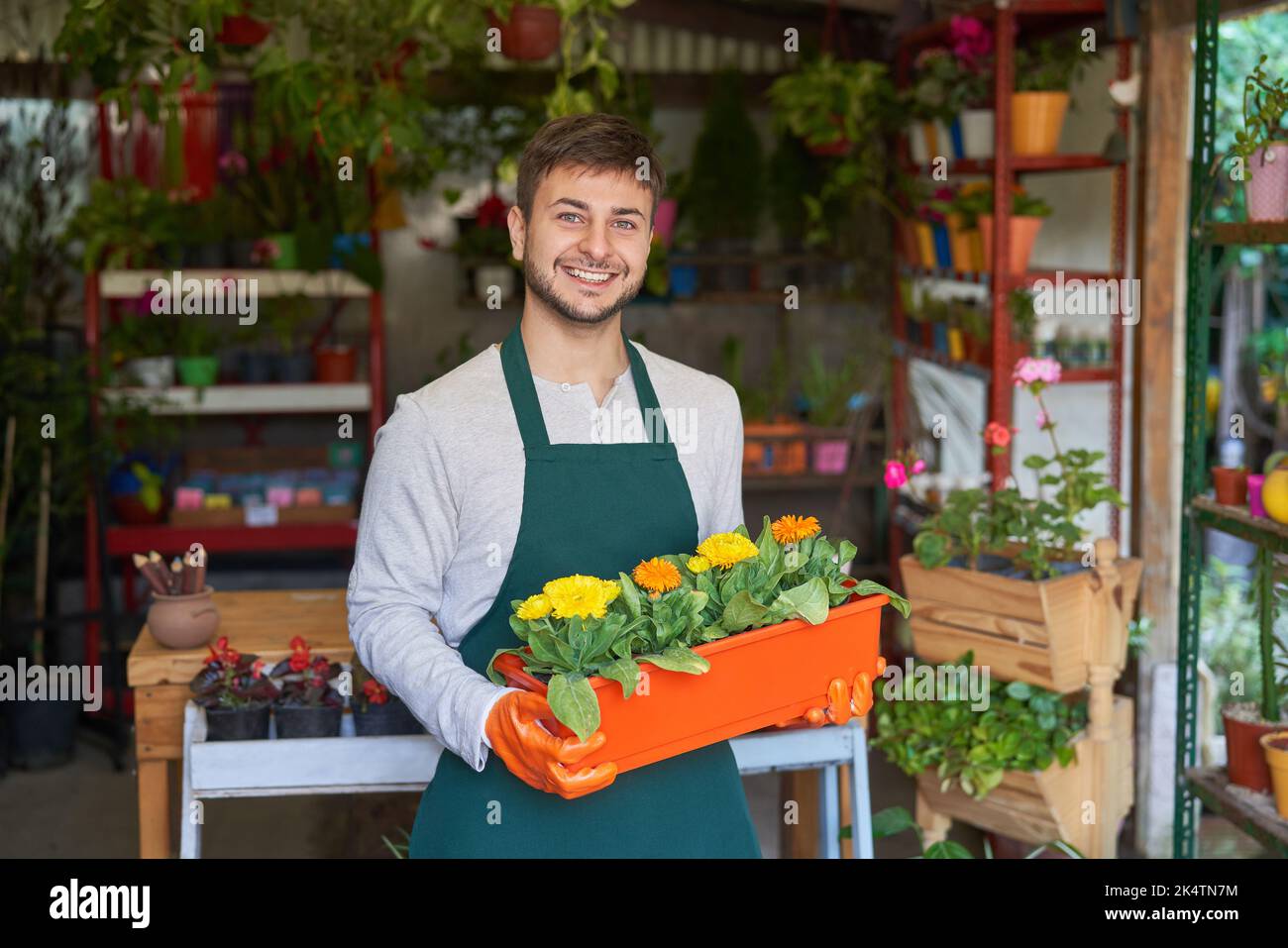 Giovane apprendista giardiniere con piante in vaso come ordine in vivaio negozio di fiori Foto Stock