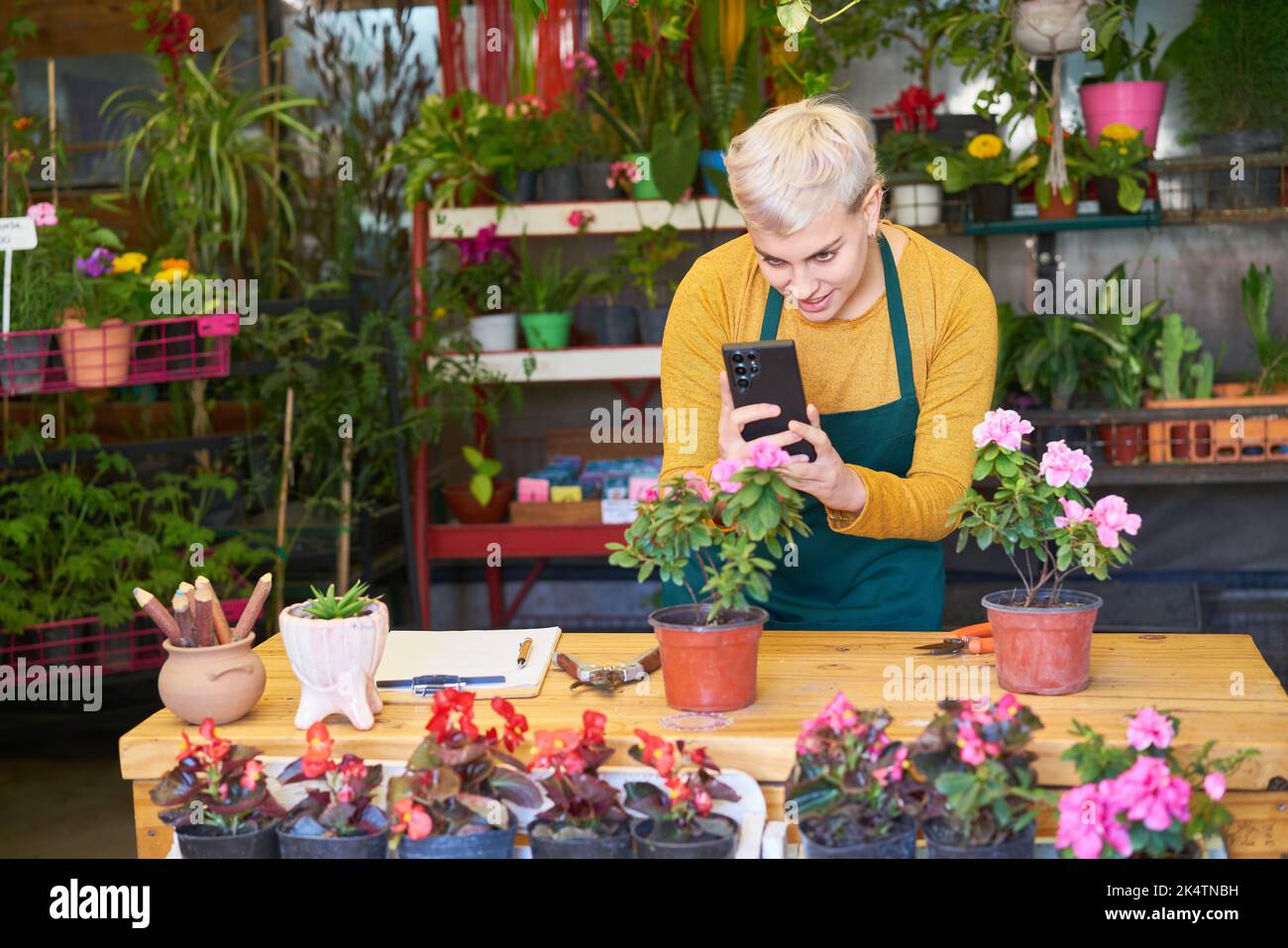 Giovane donna come fiorista fotografa un fiore come pubblicità per il negozio di fiori online Foto Stock