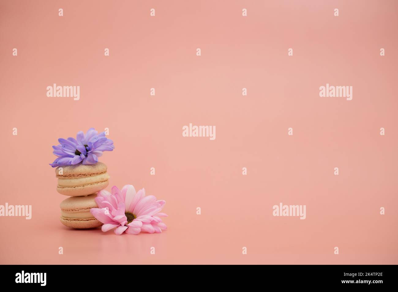 Dolci macaroni rotondi con fiori su sfondo rosa. Vita morta con dolci di maccheroni e fiori diversi. Spazio di copia. Banner Foto Stock