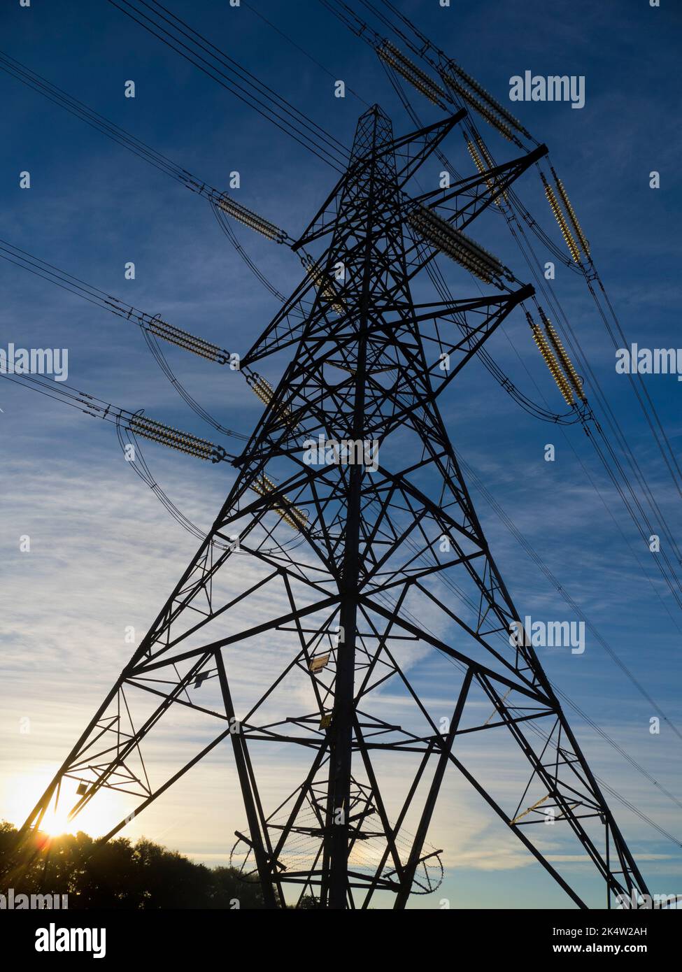 Amo i piloni elettrici; trovo le loro forme astratte e gaunt infinitamente affascinanti. Qui vediamo un pilone gigante in un campo vicino al Tamigi a Kennington Foto Stock
