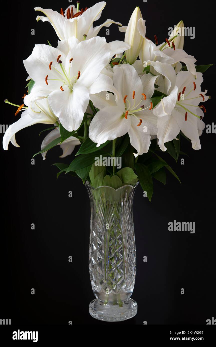 Vaso di cristallo tagliato con una fragrante e attraente disposizione di fiori di giglio tagliato. Foto Stock
