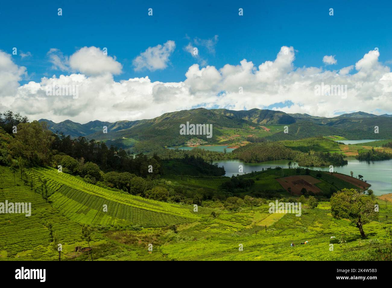 Montagne torreggianti, piantagioni di tè, fiume, cielo blu e bianco, riflesso visibile in acqua, il dono della natura di verde ovunque è il modo in cui si può e Foto Stock