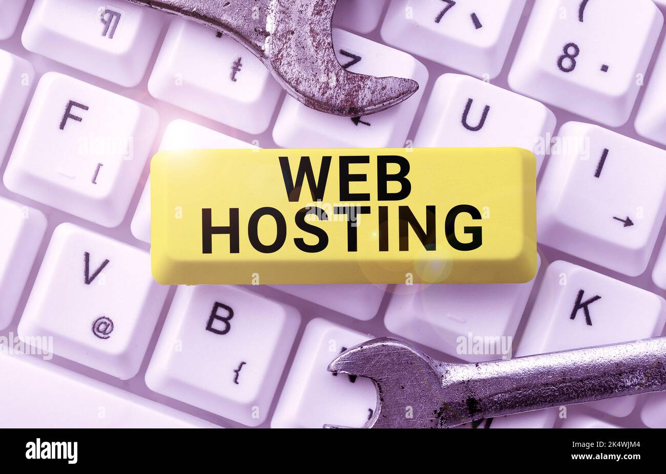 Visualizzazione concettuale Web Hosting. Attività concettuale di fotografia che consente l'accesso a un server per memorizzare i dati in un sito Web Foto Stock