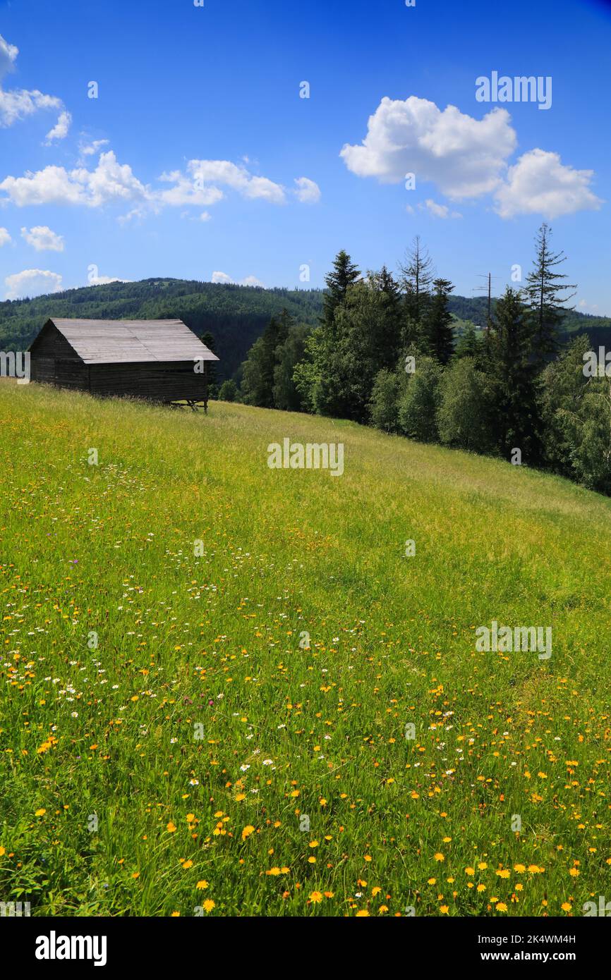 Paesaggio in Silesian Beskids (Beskid Slaski) in Polonia. Vista estiva sui prati di montagna. Stozek sentiero escursionistico. Foto Stock