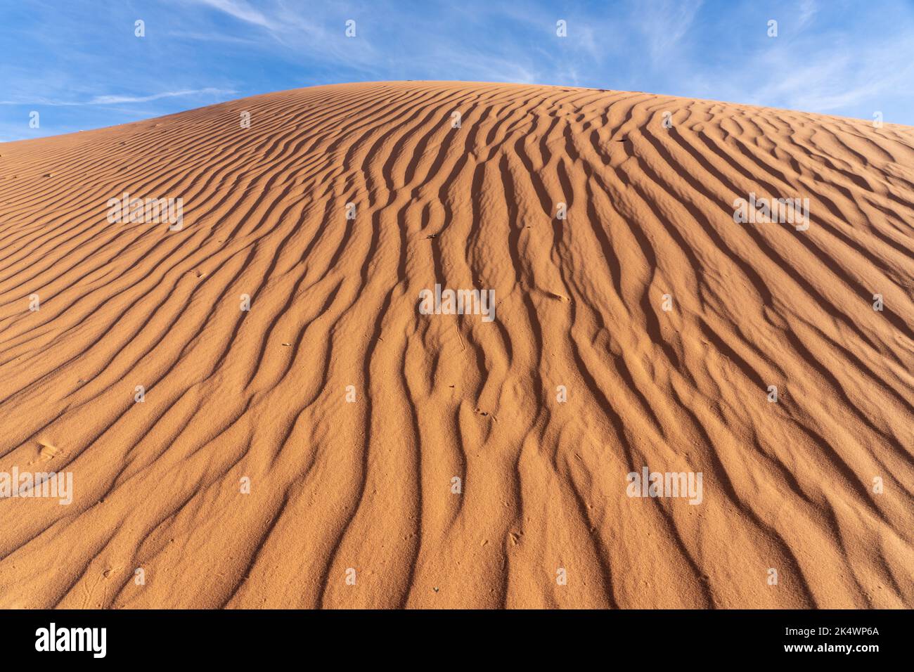 I motivi ondulati nelle dune di sabbia della White Wash Dunes Recreation Area vicino a Moab, Utah. Foto Stock
