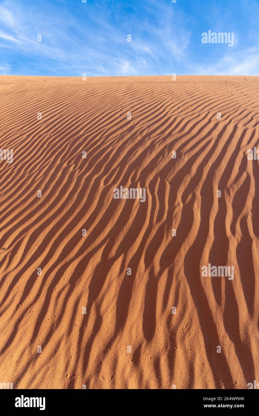 I motivi ondulati nelle dune di sabbia della White Wash Dunes Recreation Area vicino a Moab, Utah. Foto Stock