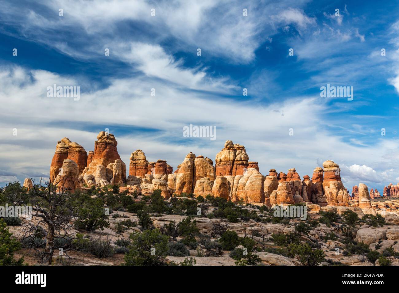 Nuvole bianche sopra le formazioni di arenaria di Cedar Mesa nel quartiere di Needles, Parco Nazionale di Canyonlands, Utah. Foto Stock