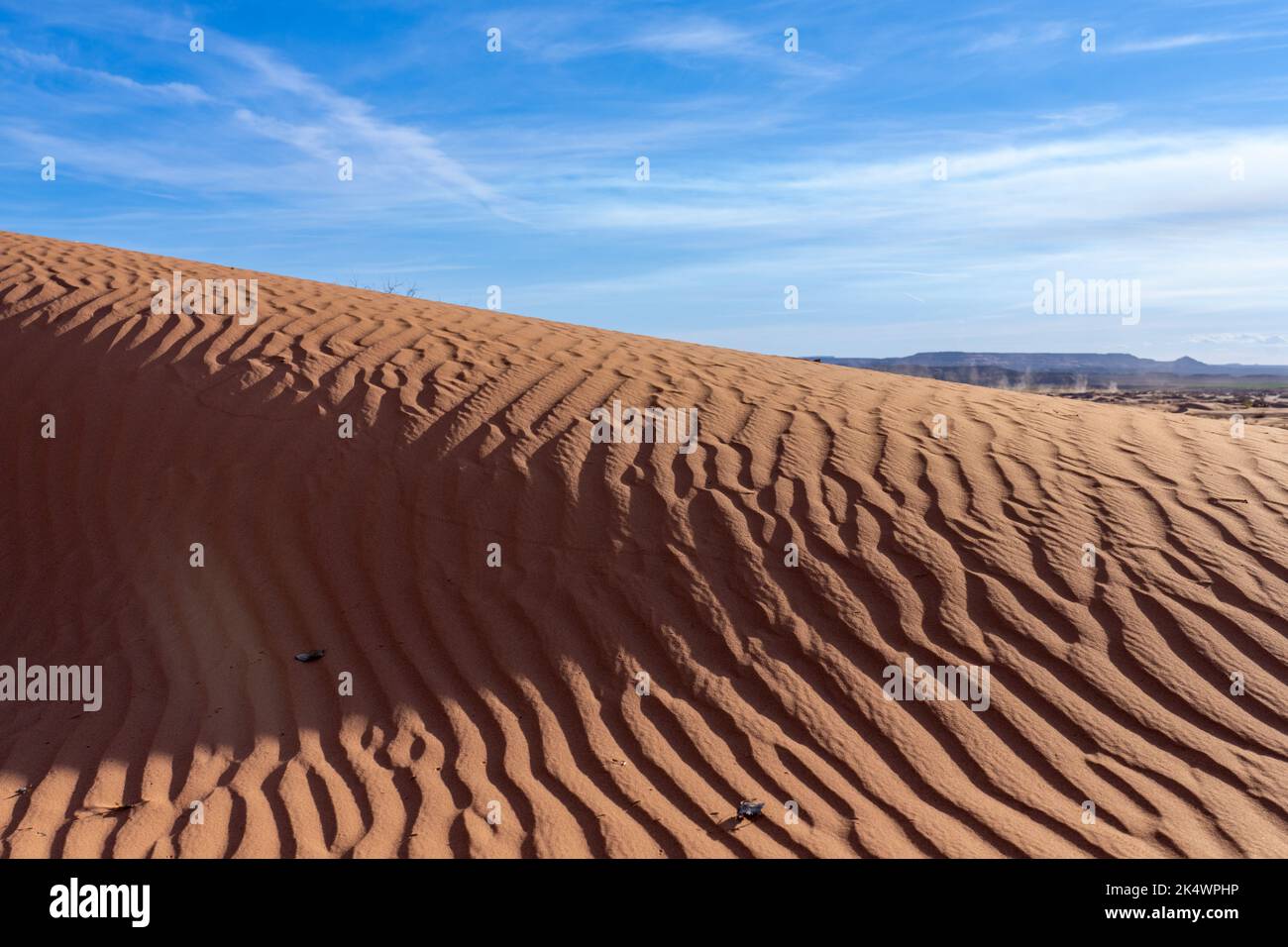 I motivi ondulati nelle dune di sabbia della White Wash Dunes Recreation Area vicino a Moab, Utah. Foto Stock