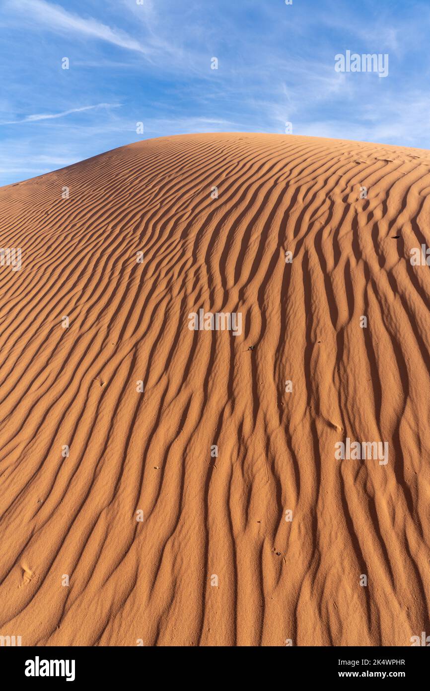 I motivi ondulati nelle dune di sabbia della White Wash Dunes Recreation Area vicino a Moab, Utah. Foto Stock