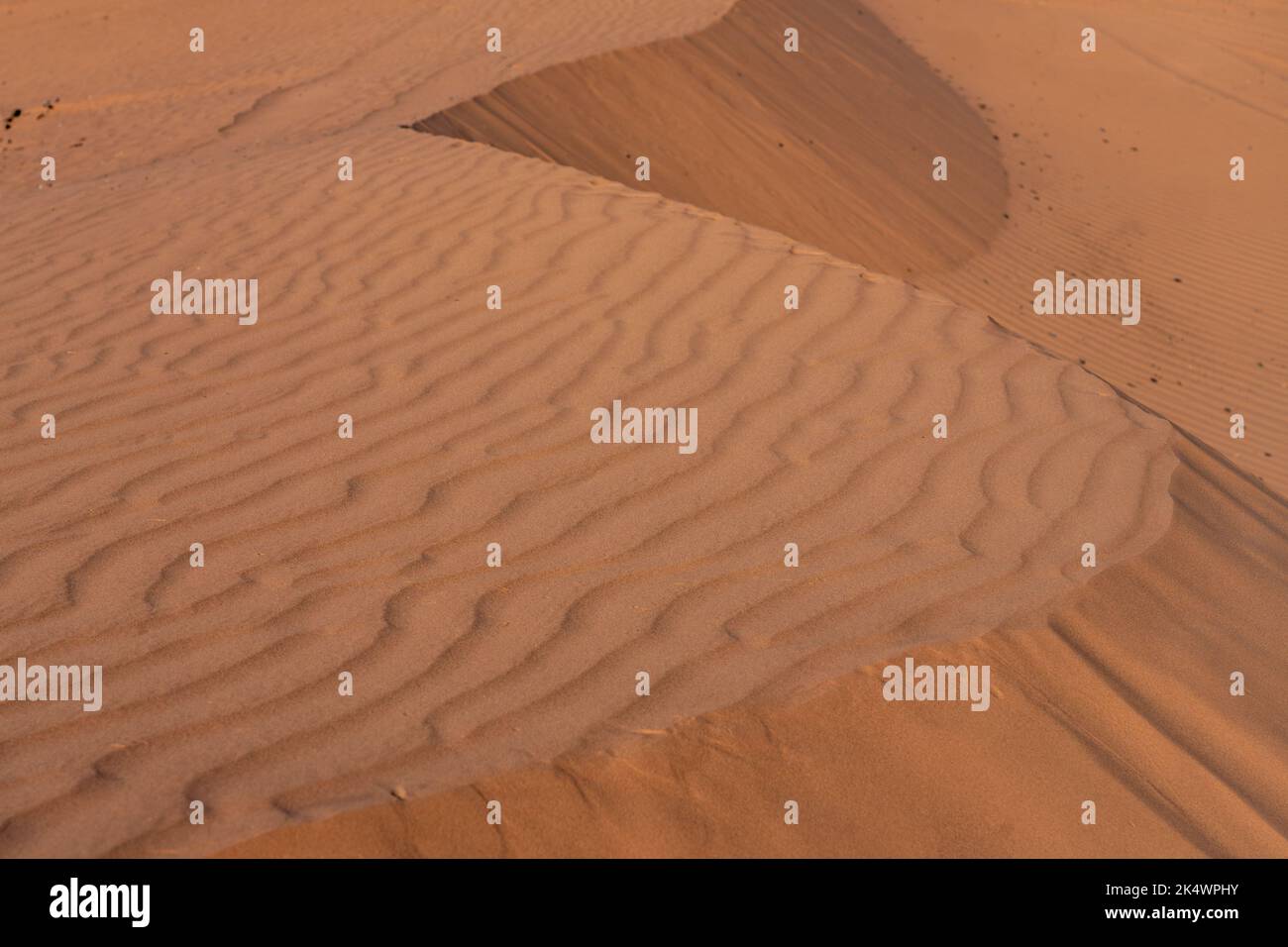 Increspature e curve nelle dune di sabbia della White Wash Dunes Recreation Area vicino a Moab, Utah. Foto Stock