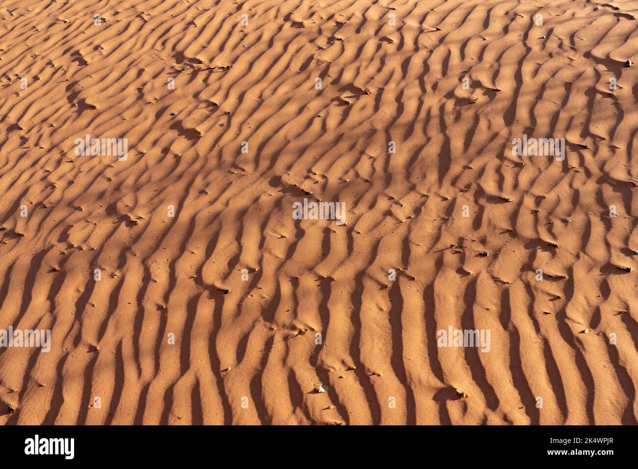 Increspa la sabbia e le ombre sulle dune nell'area ricreativa di White Wash Dunes, vicino a Moab, Utah. Foto Stock