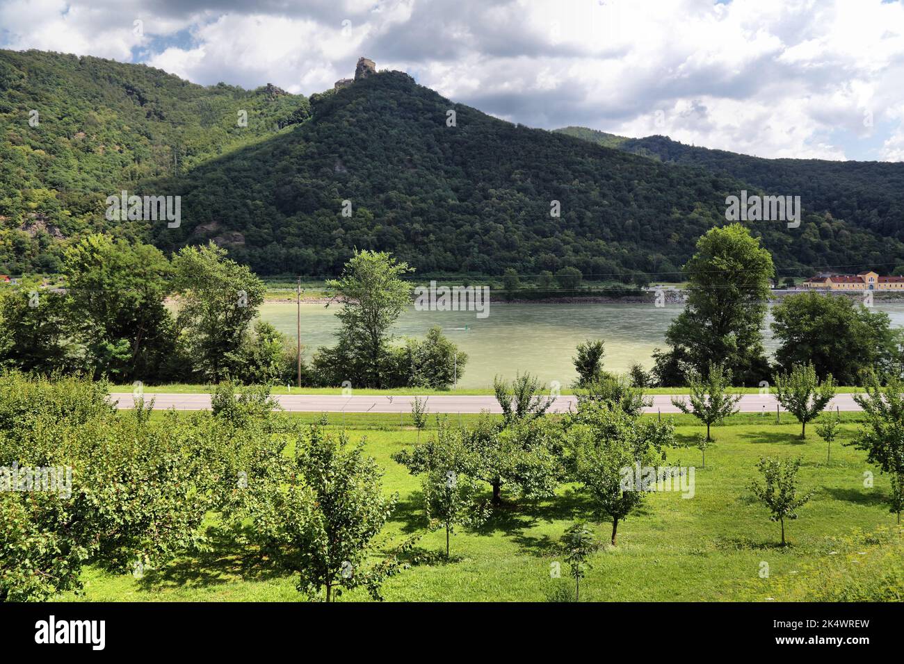 Paesaggio austriaco nella regione di Wachau. Campagna meleti nella valle del Danubio. Rovine del castello di Aggstein sullo sfondo. Foto Stock
