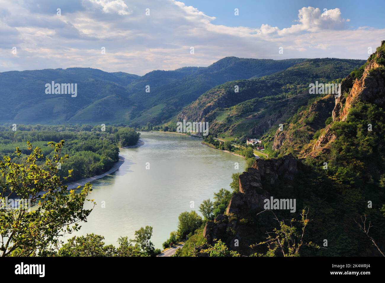 Curva del Danubio nella regione di Wachau in Austria. Paesaggio estivo. Foto Stock