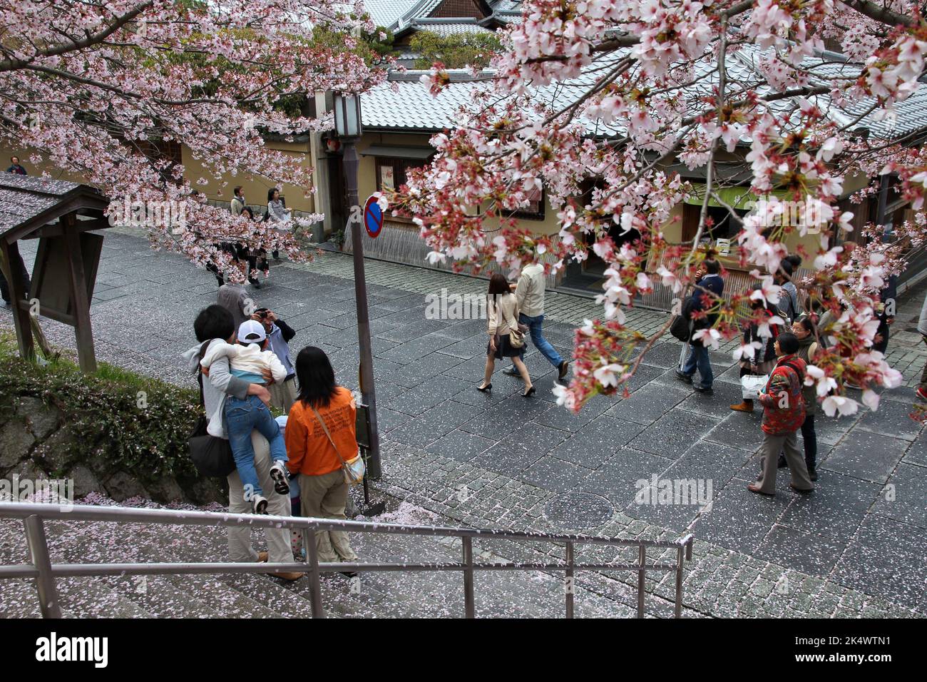 KYOTO, GIAPPONE - 14 APRILE 2012: I visitatori godono di una fioritura notturna di ciliegi (sakura) nel quartiere Higashiyama di Kyoto, Giappone. La vecchia Kyoto è un eroe mondiale dell'UNESCO Foto Stock