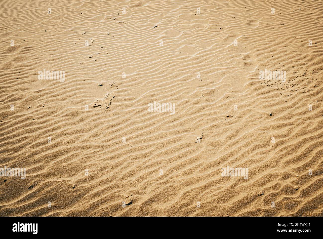 spiaggia di sabbia con forme formate dal vento Foto Stock