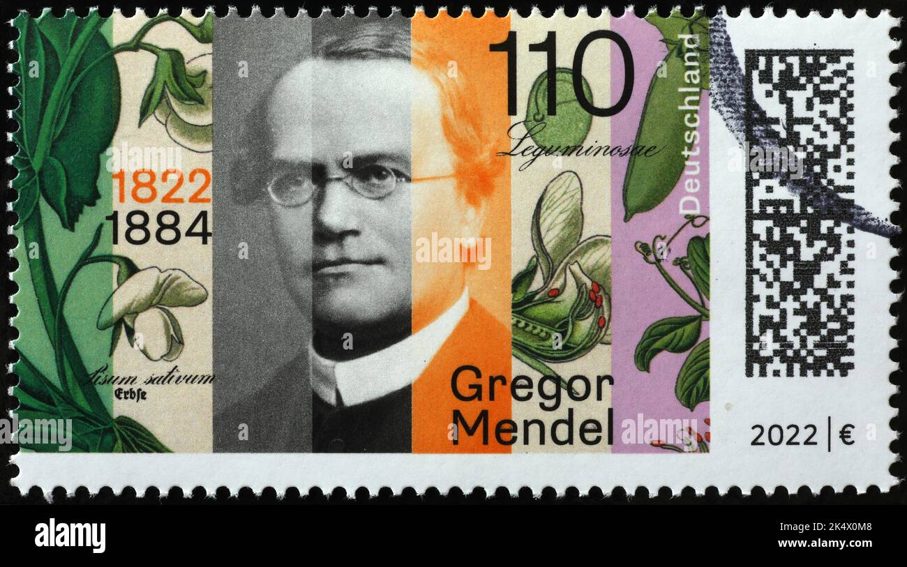 Lo scienziato Gregor Mendel sul francobollo di geman Foto Stock