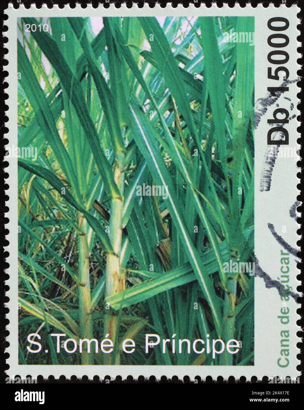 Piantagione di canna da zucchero su francobollo africano Foto Stock