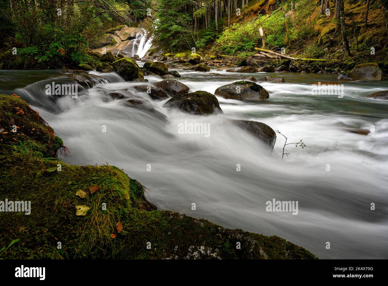 Cascate di Clayton Falls a Bella Coola, British Columbia, Canada Foto Stock