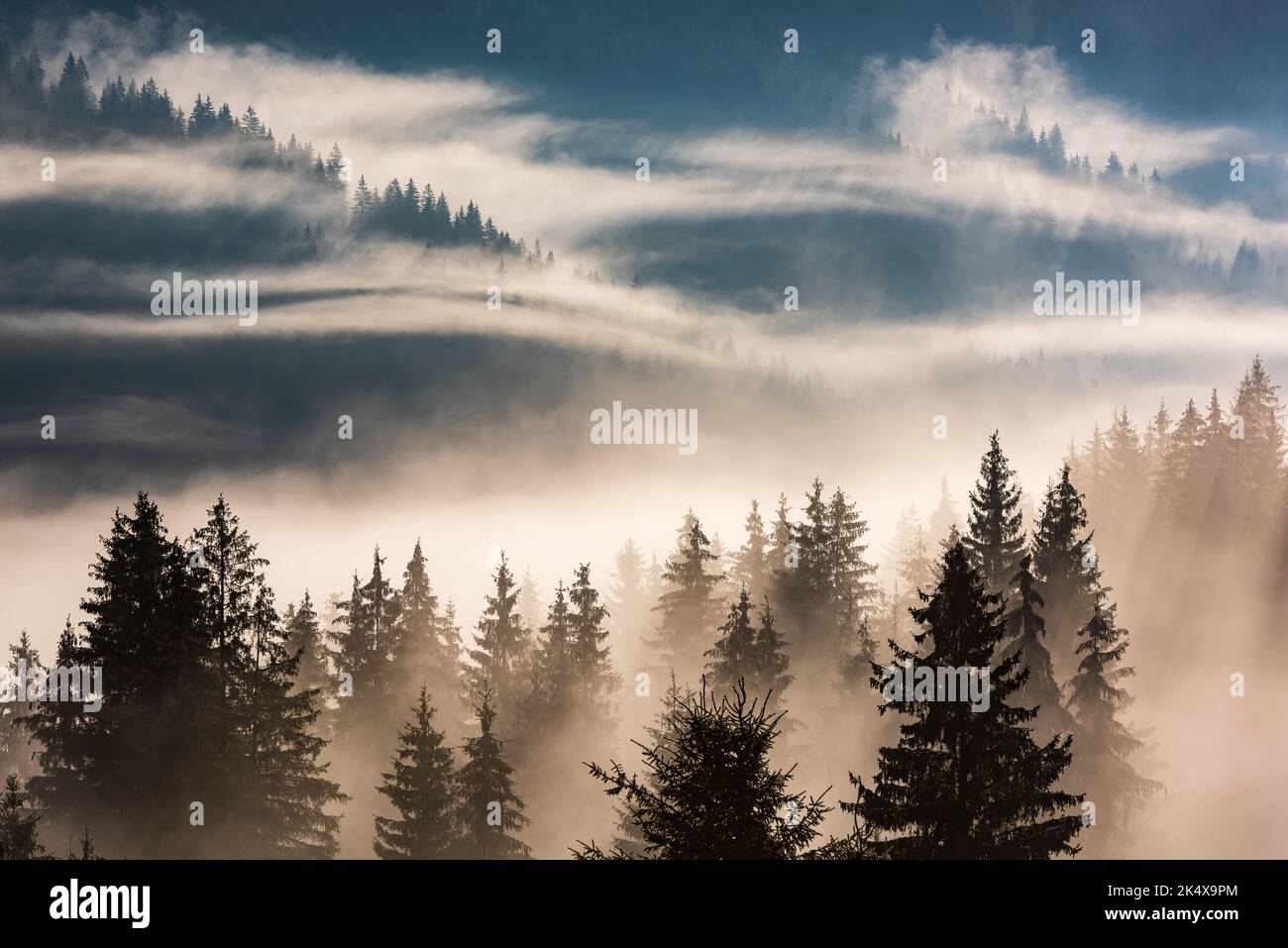 Foresta nella nebbia mattutina. Nebbia divisa dai raggi del sole. Vista mattutina sulla zona umida delle montagne. Foto Stock