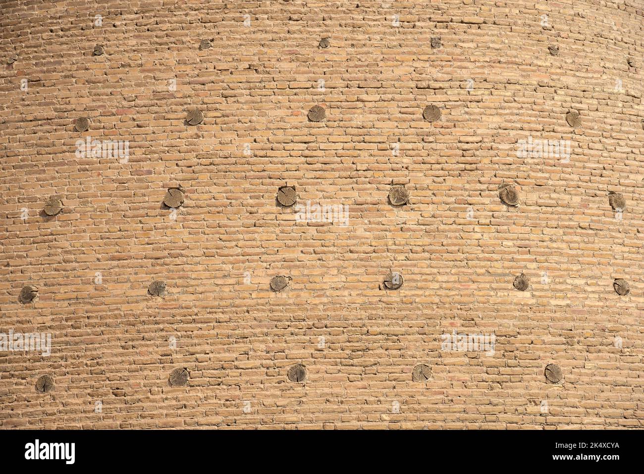 Frammento del muro della vecchia fortezza di Arca primo piano, Bukhara, Uzbekistan Foto Stock