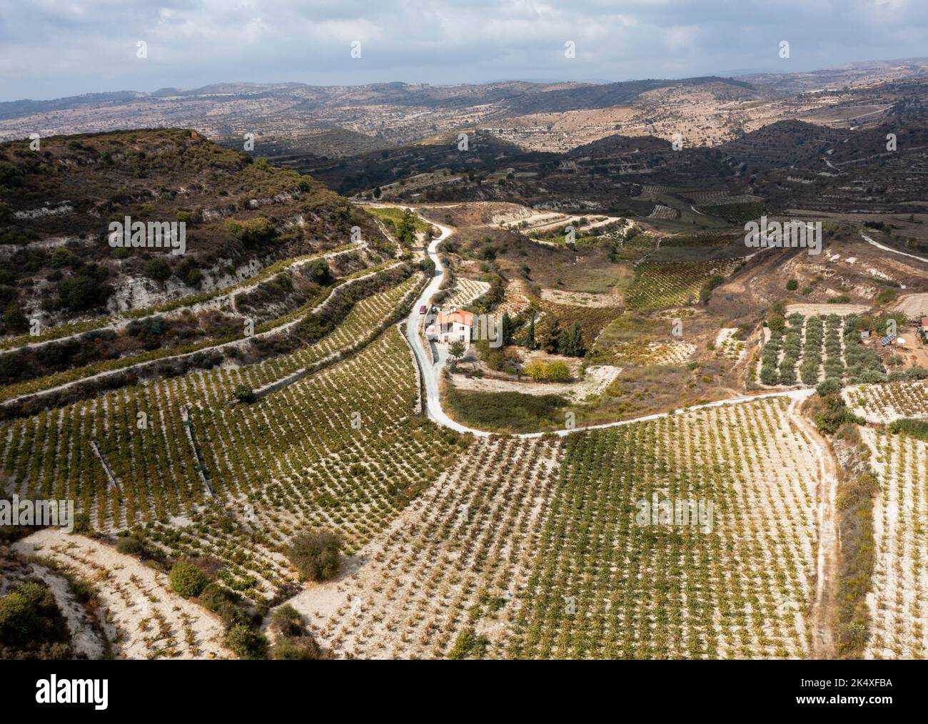 Veduta aerea dei vigneti terrazzati tra Kissousa e Vasa, distretto di Limassol, Cipro Foto Stock