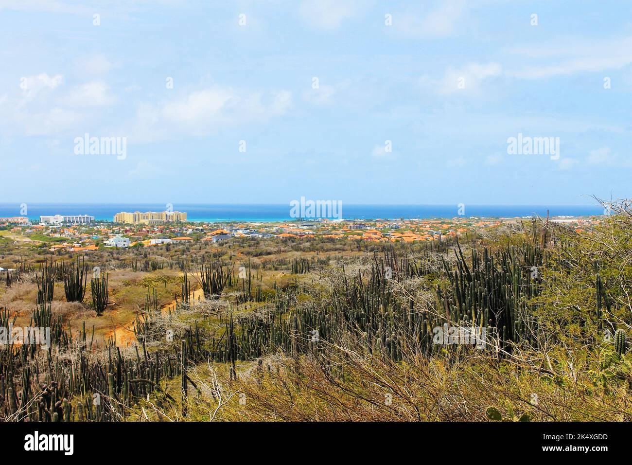 Si affaccia sull'isola di Aruba, dalla cima di una collina. Foto Stock