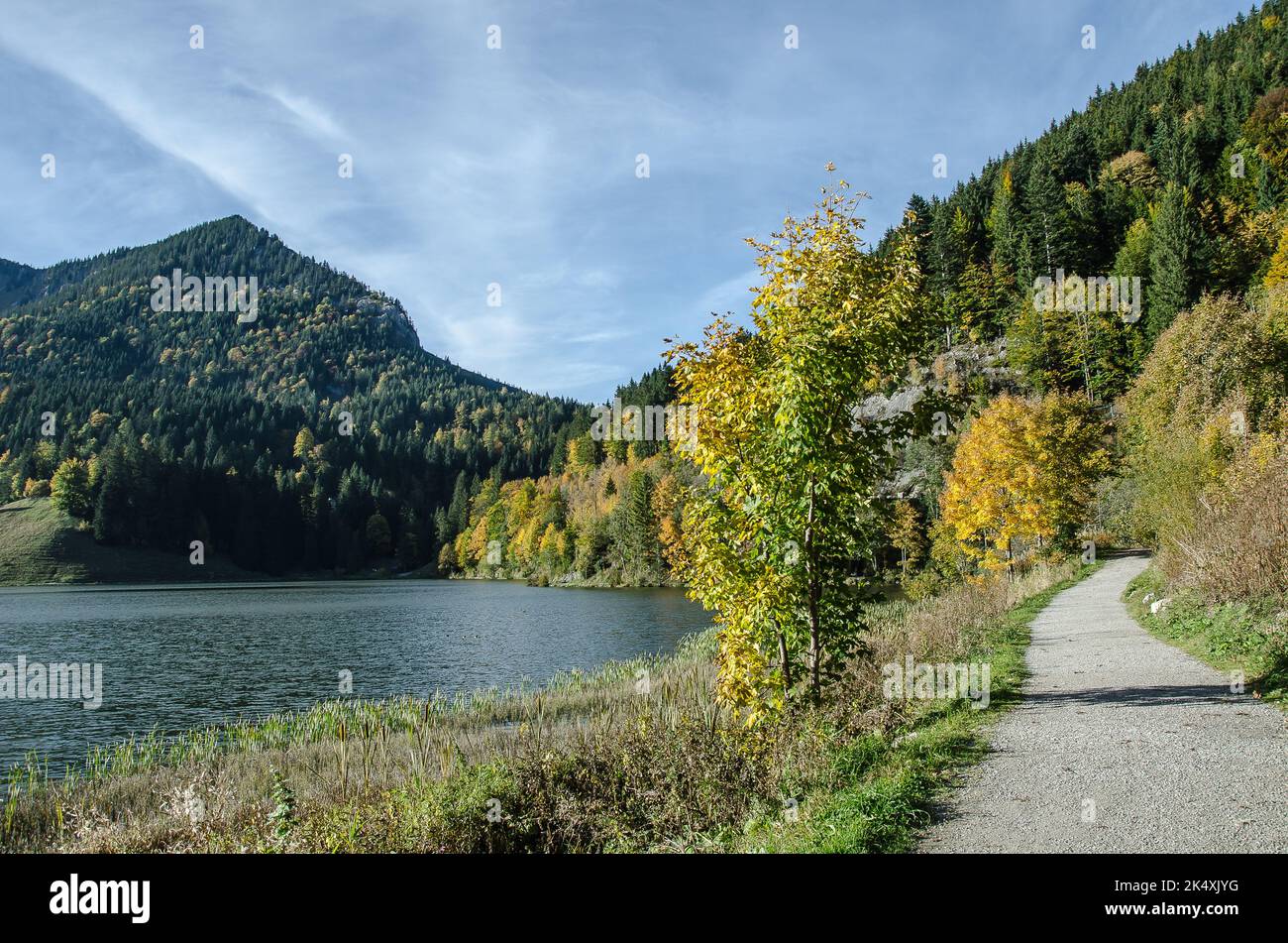 Autunno al Lago Spitzing in alta Baviera Foto Stock