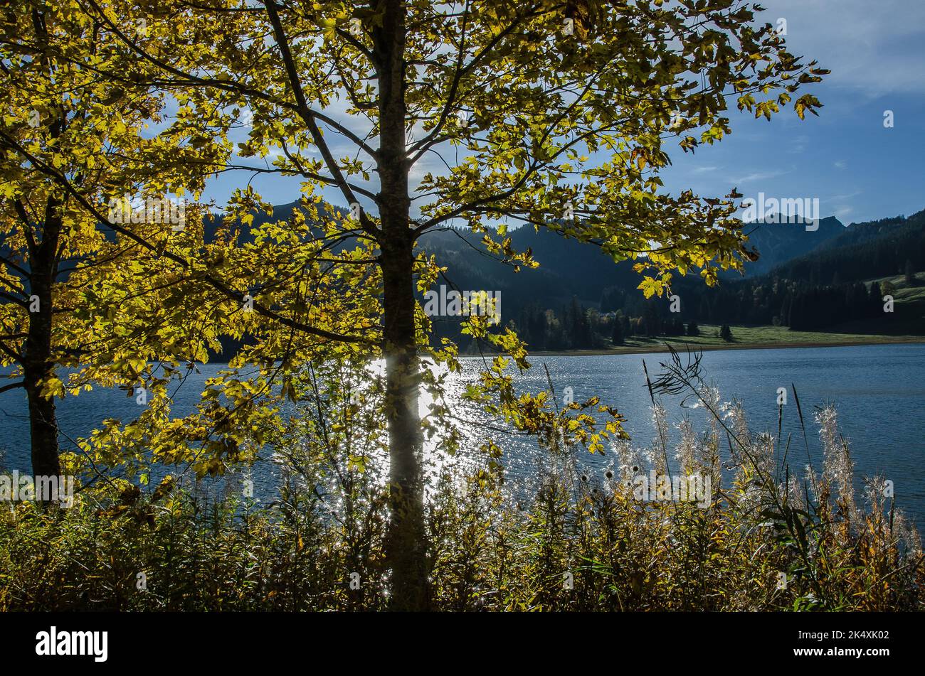 Autunno al Lago Spitzing in alta Baviera Foto Stock