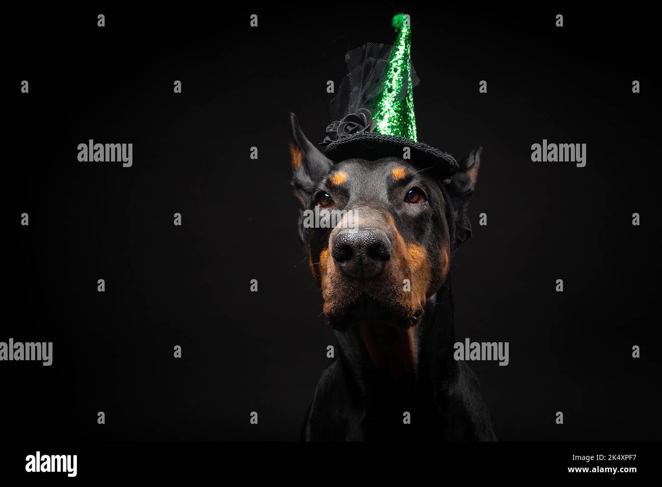 Copricapo di halloween immagini e fotografie stock ad alta risoluzione -  Alamy