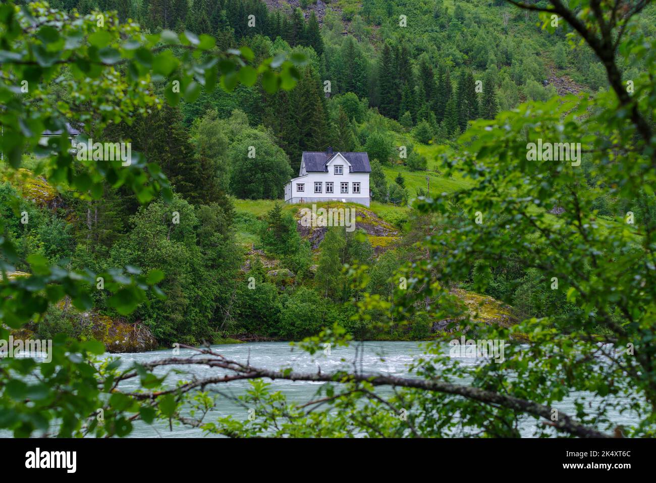 bella casa indipendente bianca nella natura norvegese Foto Stock