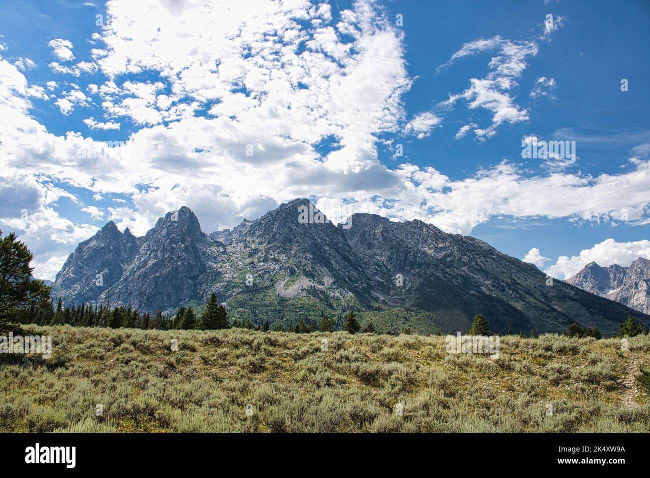Paesaggio di un prato in Grand Teton NP di fronte ad una parte della gamma Teton. Sono visibili la spira simmetrica, il Monte San Giovanni e Rockchuck Peak. Foto Stock