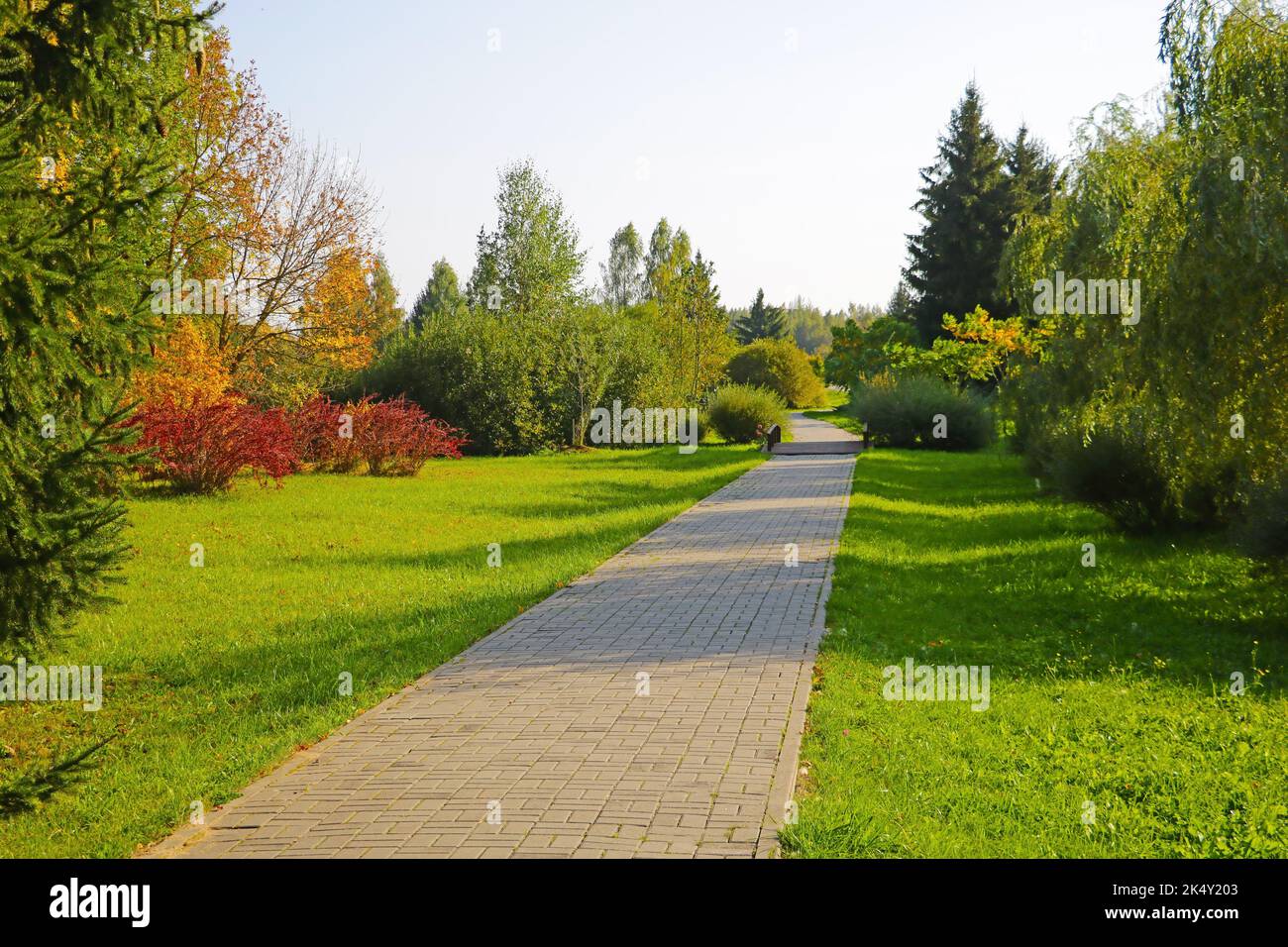 Un bel sentiero attraverso un parco verde con alberi e cespugli Foto Stock