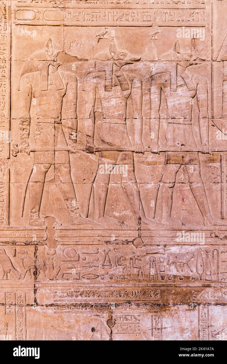 Edfu, Assuan, Egitto. Scultura del dio Anubis nel Tempio di Horus a Edfu. Foto Stock