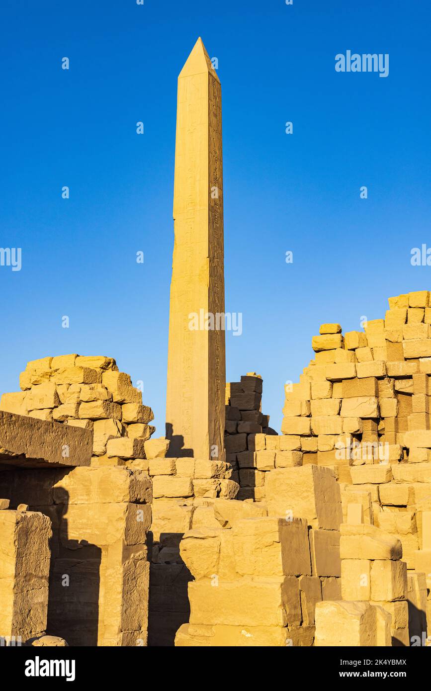 Karnak, Luxor, Egitto. Obelisco della Regina Hatshepsut al complesso del Tempio di Karnak a Luxor. Foto Stock