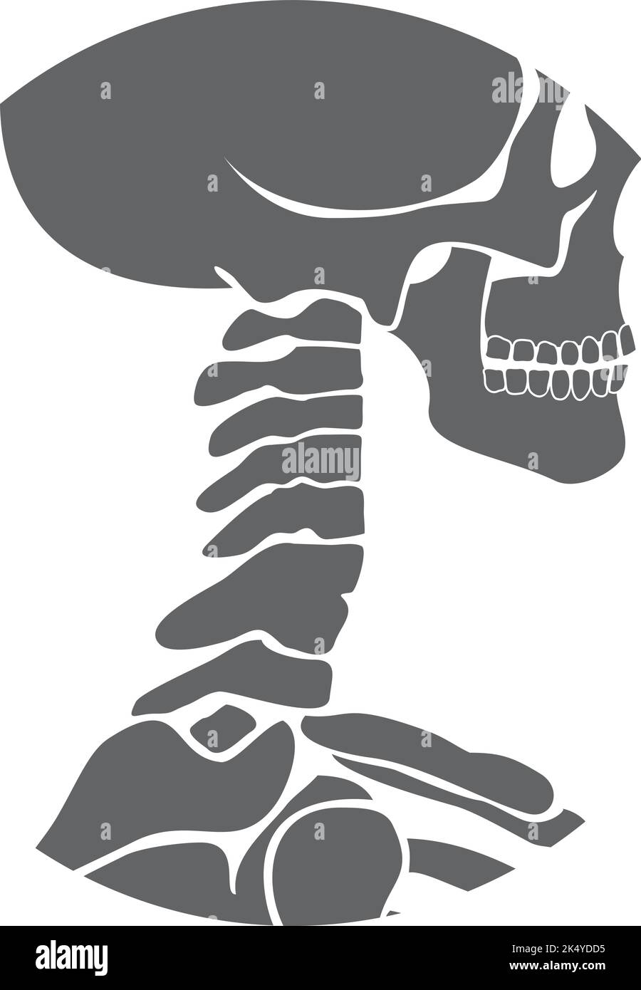 Struttura ossea del collo umano. Icona nera dell'anatomia Illustrazione Vettoriale
