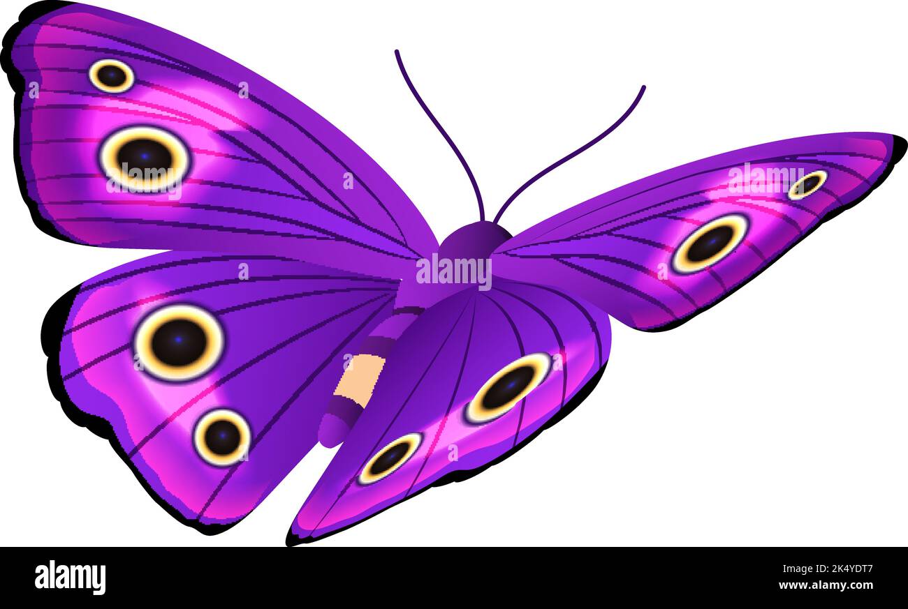 Farfalla viola con ali dai motivi luminosi. Mooth volante Illustrazione Vettoriale