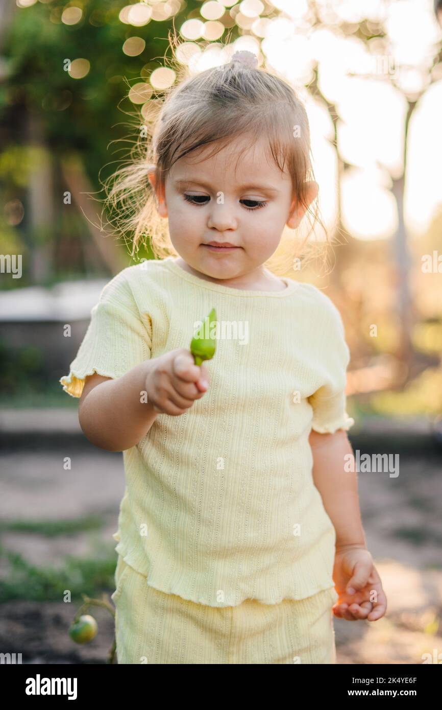 Ritratto di un'adorabile bambina che tiene in mano un pepe recentemente raccolto dal giardino estivo di sua nonna. Crescere cibo naturale biologico fresco e Foto Stock