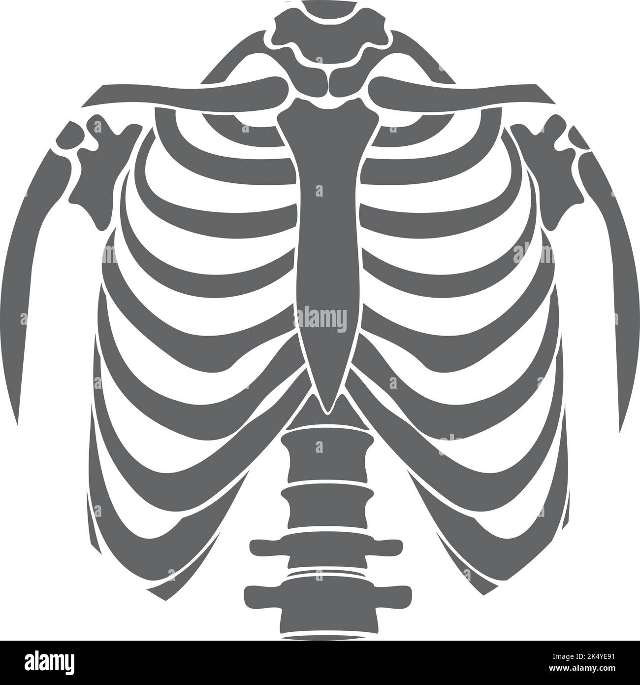 Icona gabbia costola. Anatomia umana. Scheletro ossa Illustrazione Vettoriale