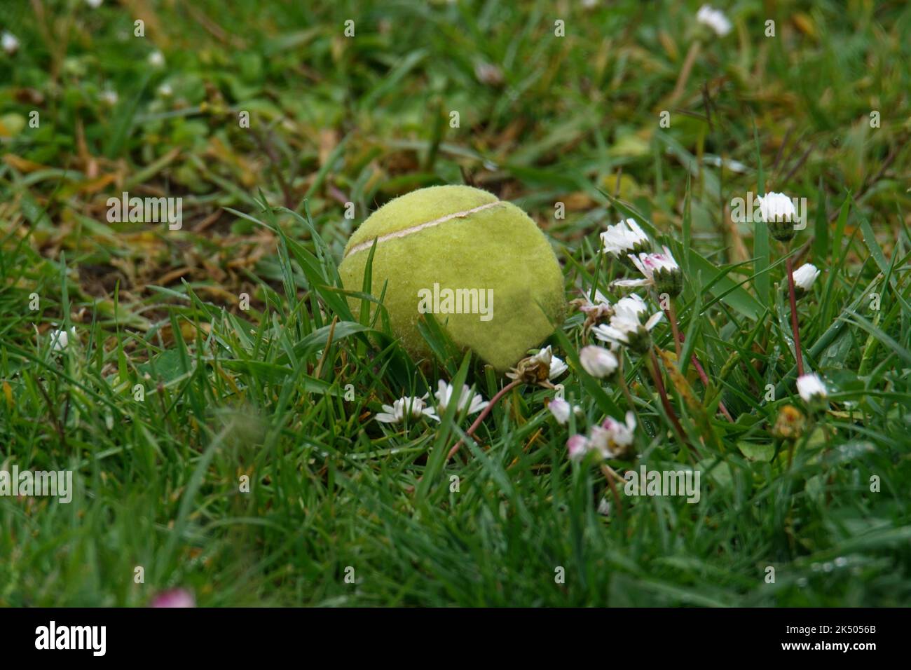 Älter geworden - ausgedienter Tennisball Foto Stock