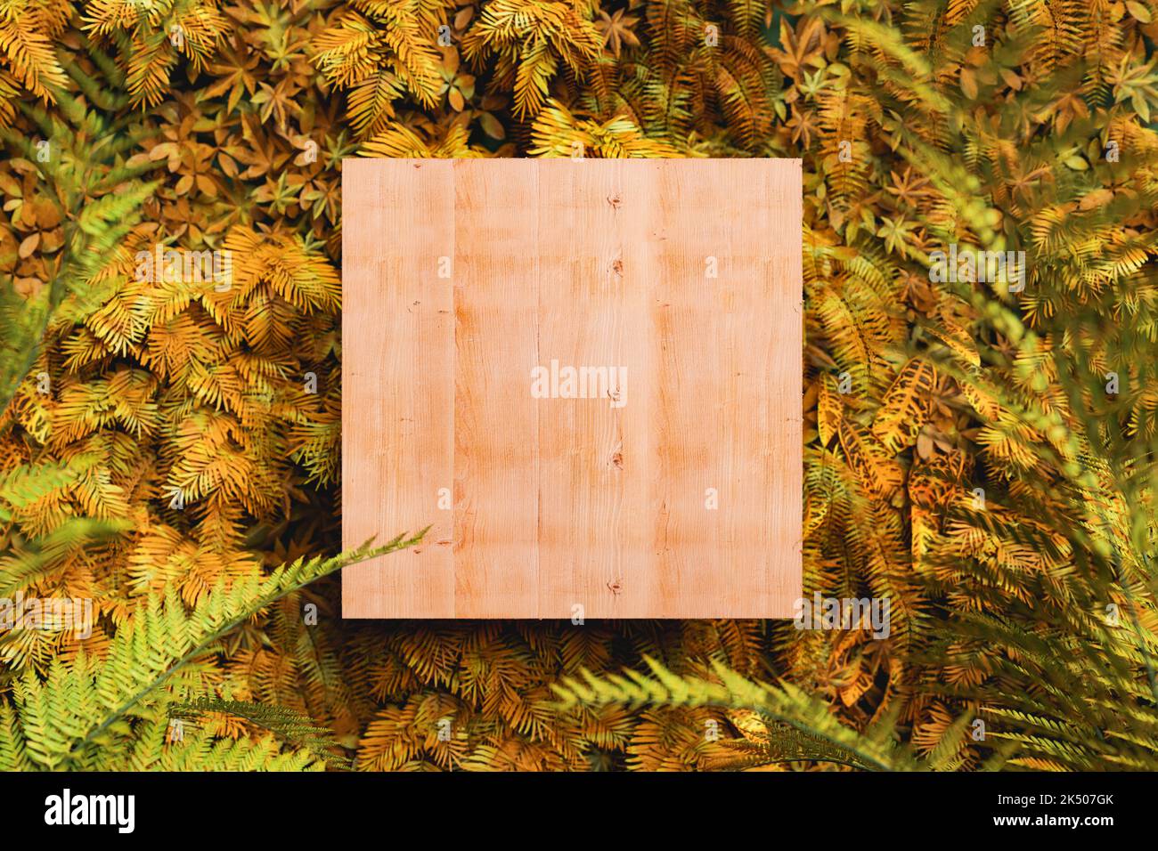 Vista dall'alto di 3D rendering di scatola di legno vuota posta in foglie di felce lussureggianti nella foresta autunnale Foto Stock