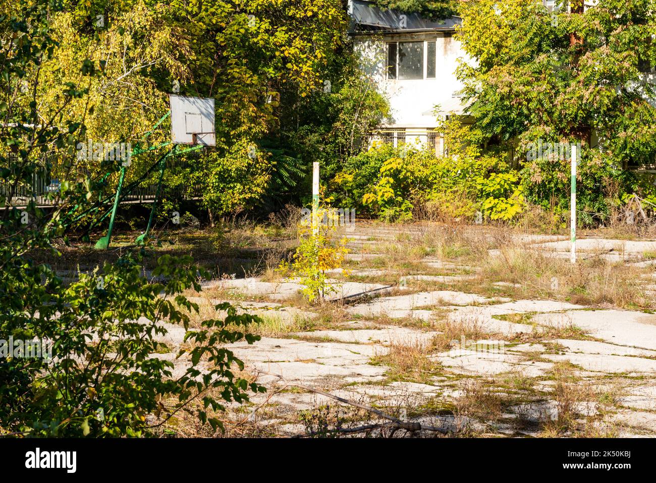 Il cortile abbandonato è cresciuto da impianti in Bulgaria, Europa orientale, Balcani, UE Foto Stock