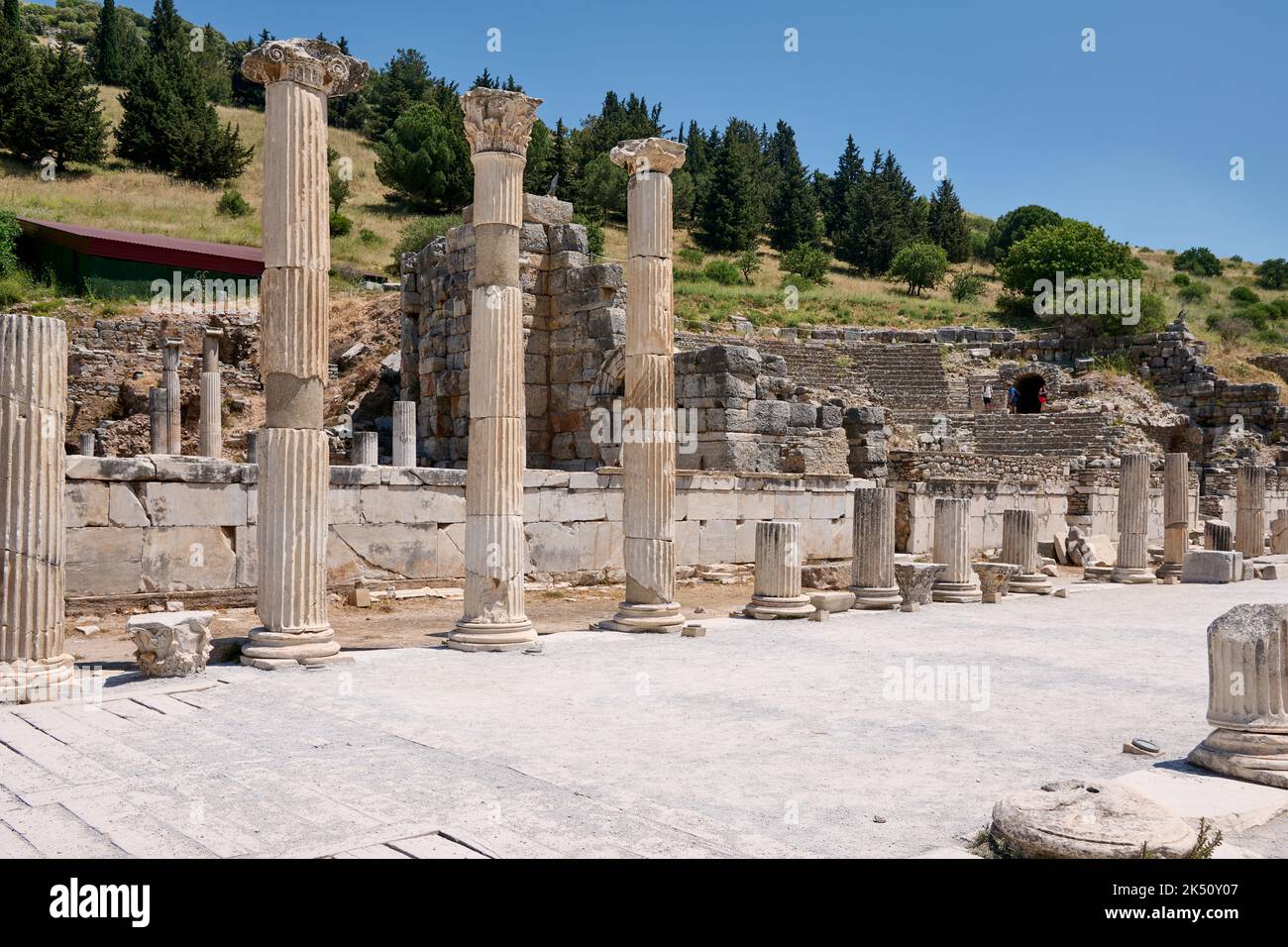 Strada colonnata in alta Agora, sito archeologico di Efeso, Selcuk, Turchia Foto Stock