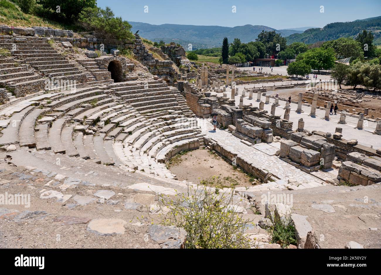 Odeon greco-romano, sala concerti o Bouleuterion, piccolo anfiteatro, sito archeologico di Efeso, Selcuk, Turchia Foto Stock