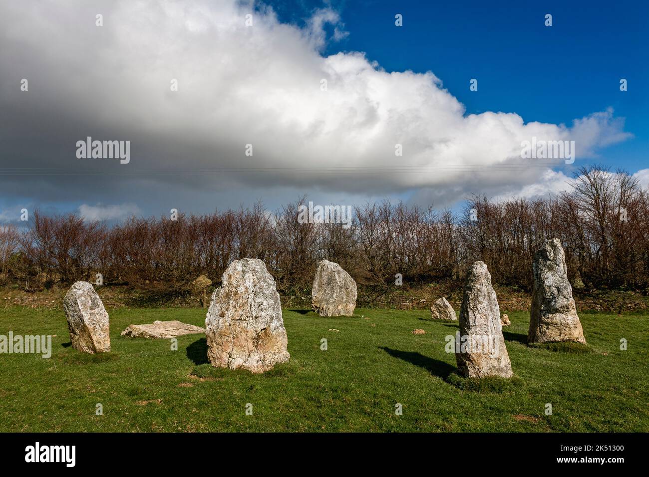 Duloe Stone Circle; Cornovaglia; Regno Unito Foto Stock