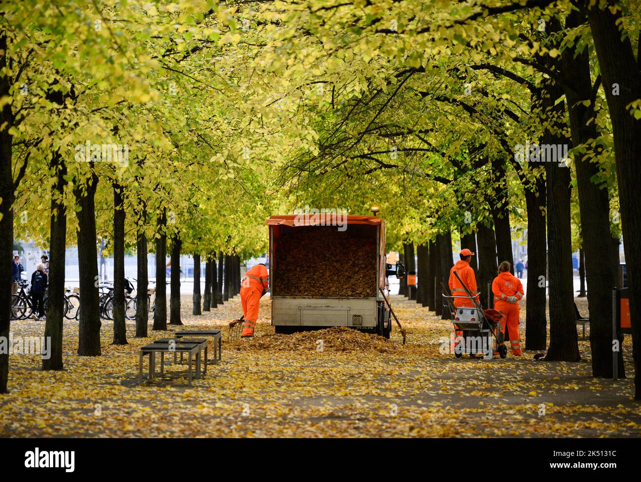 05 ottobre 2022, Berlino: I dipendenti del Berliner Stadtreinigung spazzano via le foglie sull'Isola dei Musei. Foto: Bernd von Jutrczenka/dpa Foto Stock