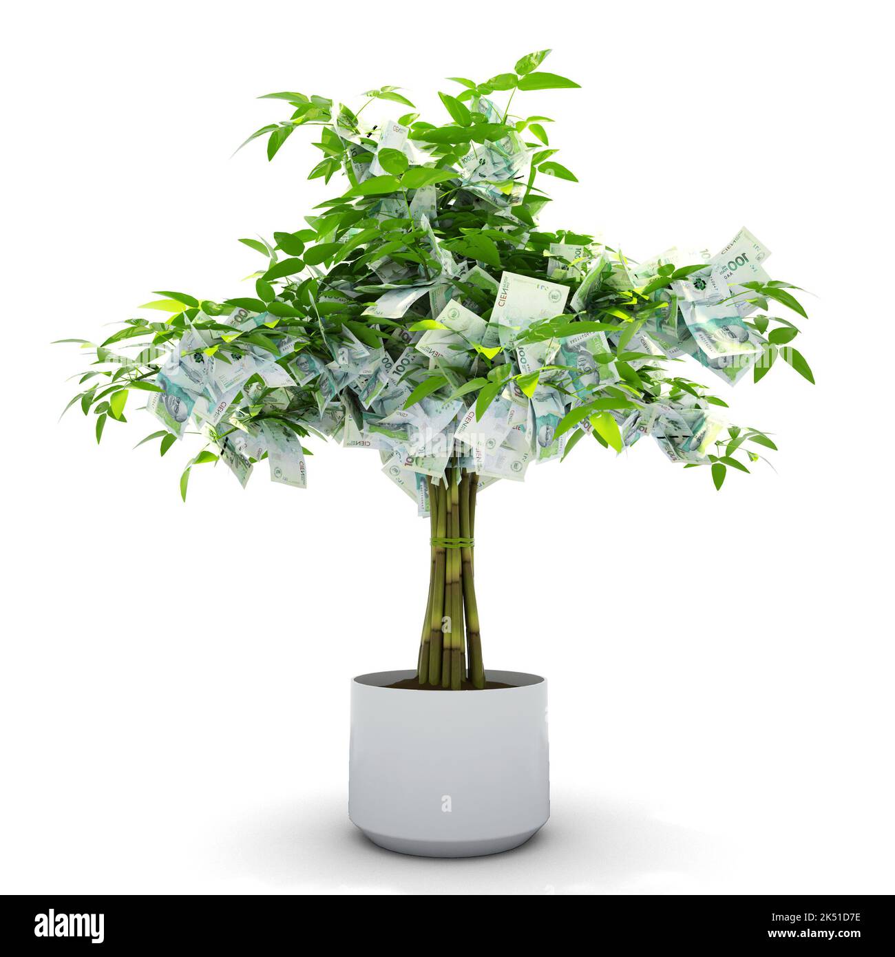 L'albero del peso colombiano. Rendering 3d di denaro su alberi isolati su sfondo bianco. crescita finanziaria Foto Stock