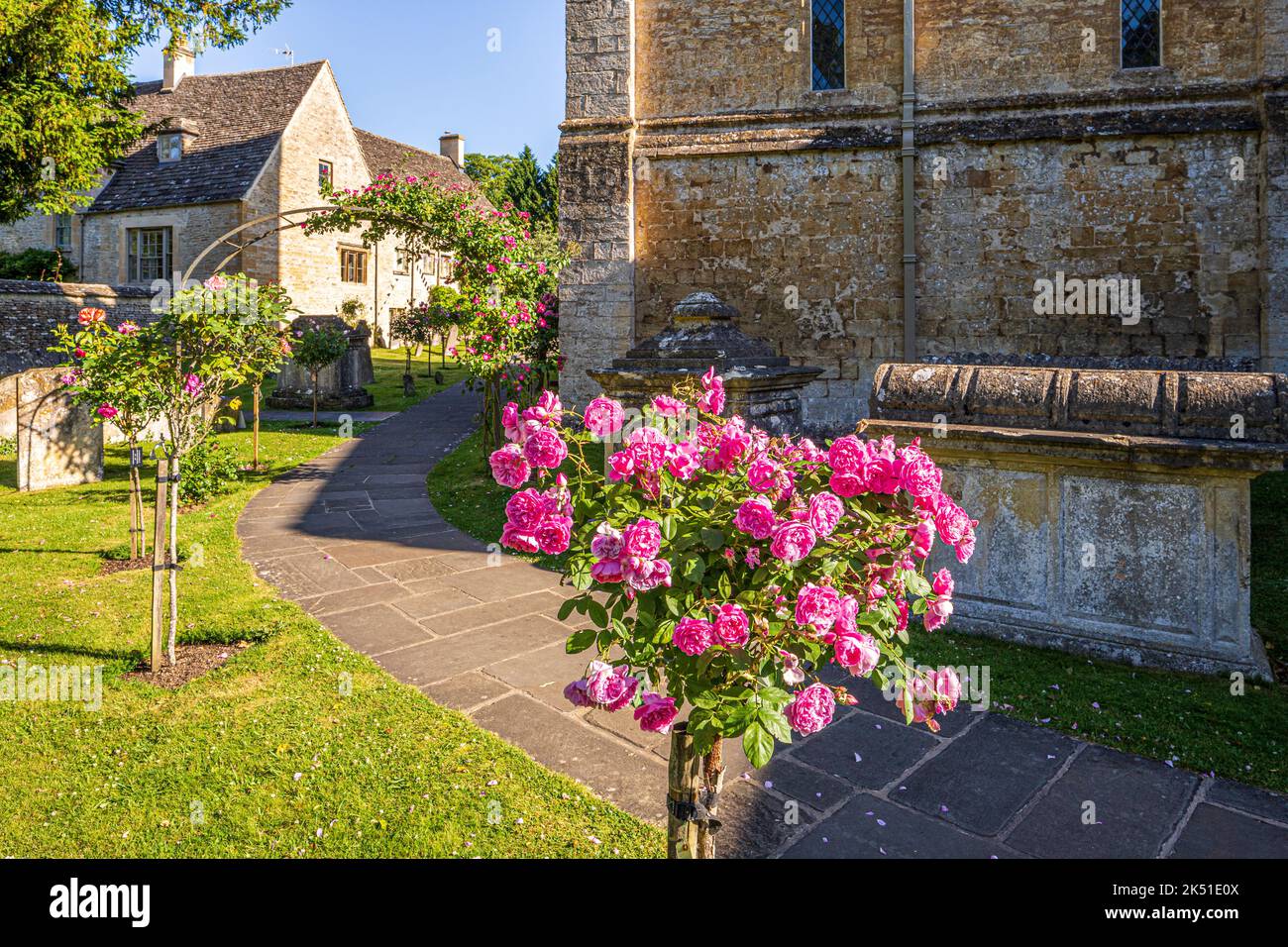 La mattina presto luce a metà estate sulle rose rosa standard nel cortile della chiesa sassone di Santa Maria nel villaggio Cotswold di Bibury, Gloucester Foto Stock