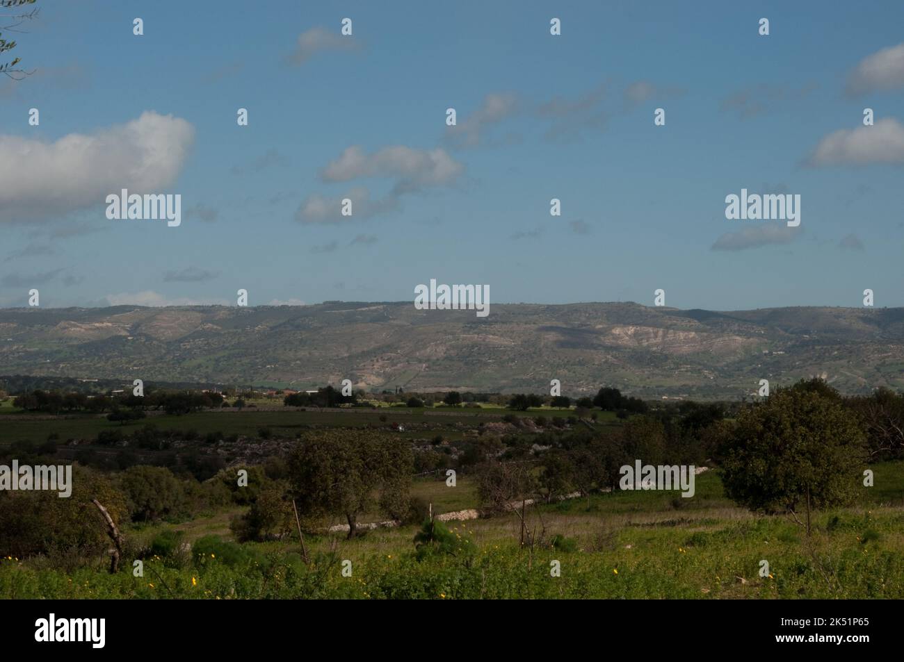 Panorama, fuori Rosolini, Provincia di Siracusa, Sicilia, Italia. Campi, alberi, rocce, cespugli, piccole colline sullo sfondo. Co. Siciliana Foto Stock