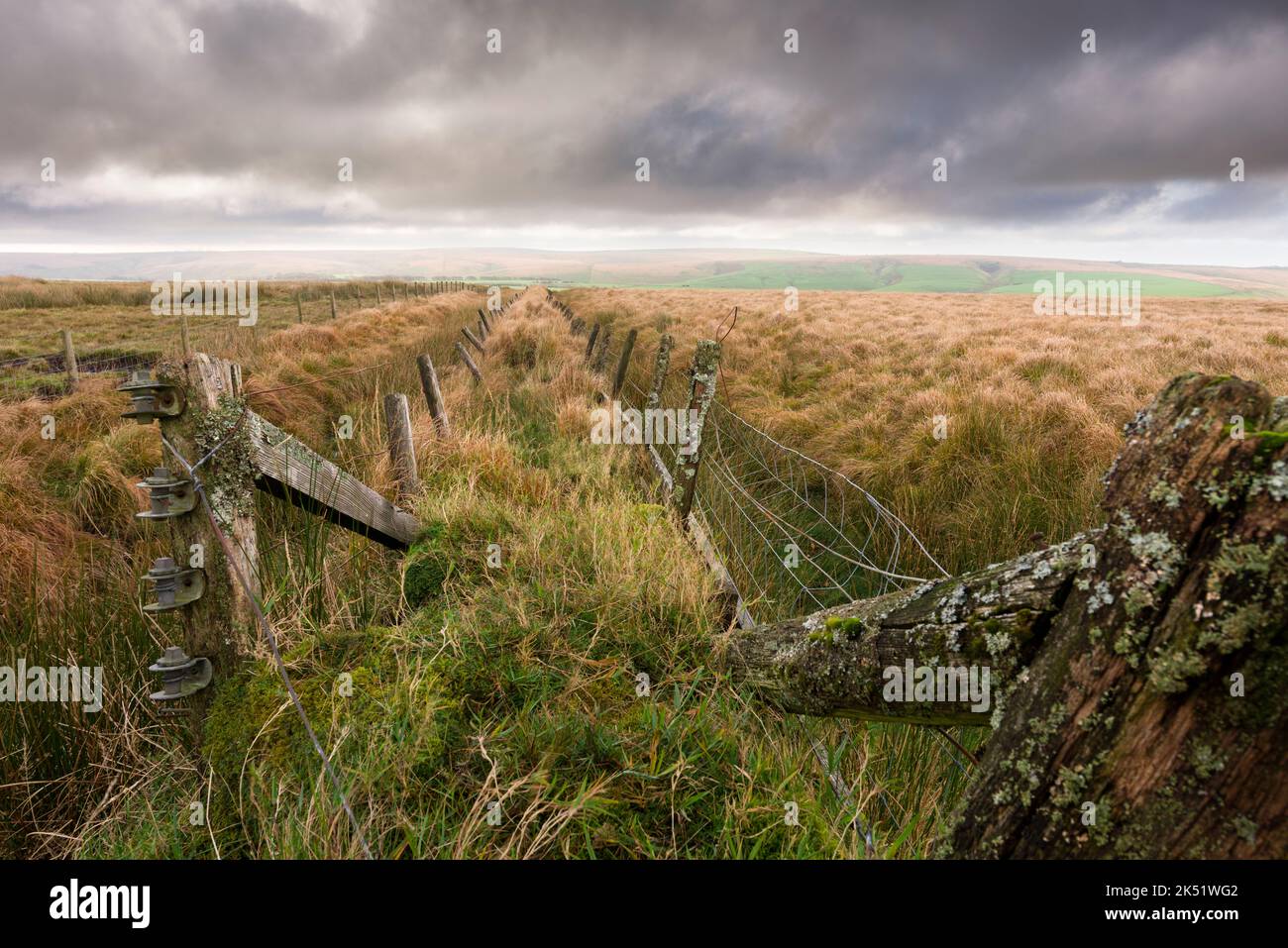 Recinzioni di filo spinato lungo una vecchia banca di terra per tenere in bestiame sul lato sud delle catene nel Parco Nazionale di Exmoor, Somerset, Inghilterra. Foto Stock